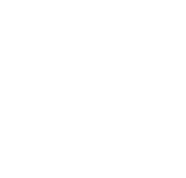 Wyfio Logo